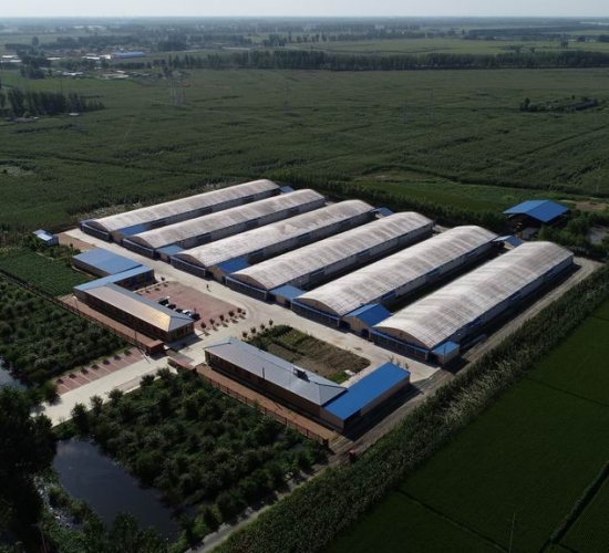 臺安縣九股河農業(yè)發(fā)展有限公司養殖部